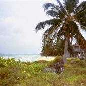  Caye Caulker, Belize